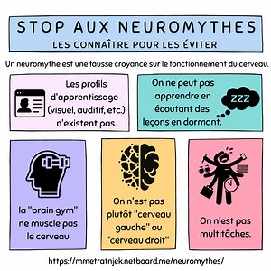Les "styles d'apprentissage" : une vidéo pour comprendre pourquoi il s'agit d'un neuromythe (tenace)