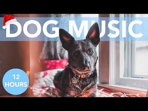 HAPPY CHRISTMAS DOG MUSIC! Calming Tunes to Chill Your Dog!