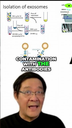 #17 Exosome Isolation Tangential Flow Filtration Explained
