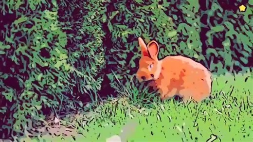 A Cartoon Safari with Animal Friends