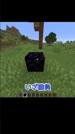 Efficiency Enhancement Level 255 VS Mining Speed ​​Decreased Level 256 #Minecraft #Minecraft