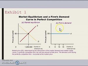 Micro-Perfect Competition 微观经济学/完全竞争