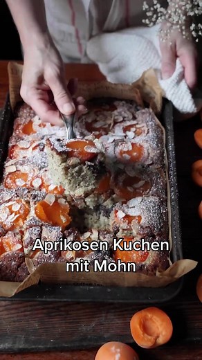 Fluffiger Aprikosen Kuchen mit Mohn vom Blech
