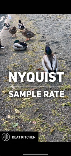 Nyquist Frequency Explained: Why 44.1kHz and 48kHz Matter
