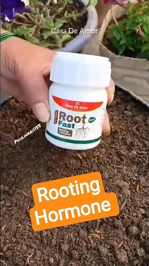 Grow New Plants from Cuttings! Rooting Hormone Simple Garden Trick 🌱 #Shorts