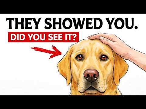 6 Things Dogs Only Do With Their FAVORITE PERSON, And What They Really Mean