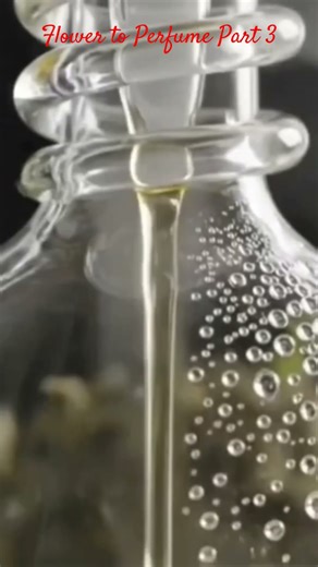 Flower to Perfume Part 3 #diffusion #steamdistillation #scienceexperiment #essentialoils