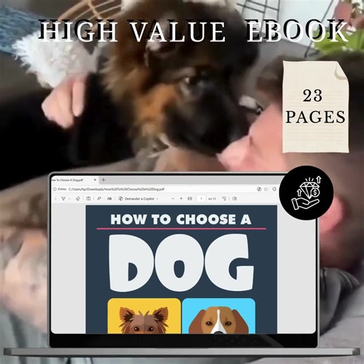 How to Choose the Right Dog — Complete Dog Breed Guide,first Poppy Owner - Etsy UK