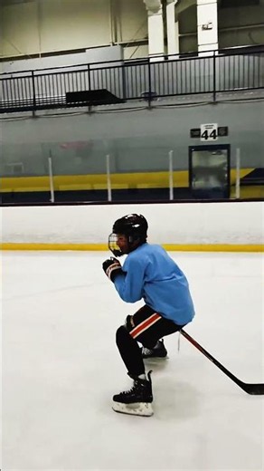 Never Forget This Part of Hockey