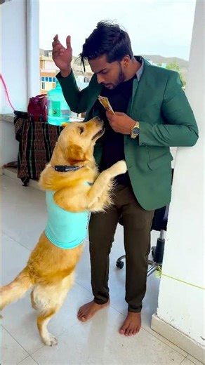 किसे जाकर मेरे डॉगी ने खाना दिया था😱 #funnydogs #shorts