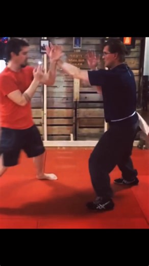This home brew drill works on cutting angles based on your opponent’s pressure. Rooted in Southern Mantis Kung Fu this drill trains you based on the pressure your opponent gives you. #martialarts #kungfu #spm #jkd #karate #wingchun | David Welther