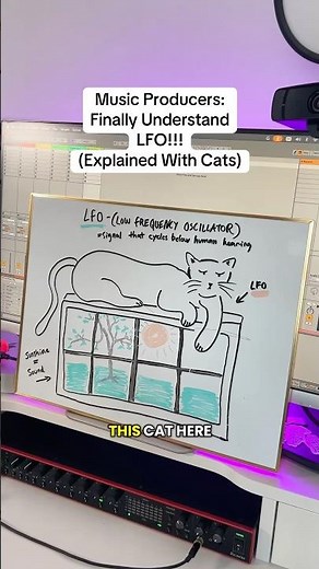 FINALLY Understand LFO and what it does!!! (Explained with Cats)