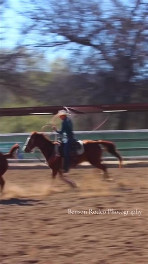 @THETryanKnight baggin em at Big Tree #fyp #teamroping #arizona #heeling #foryoupage