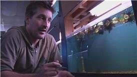 Watch How to Make a Goldfish Live Longer on Amazon Live