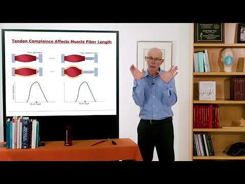 Lecture 5.4: Putting it All Together to Model Muscle-Tendon Force