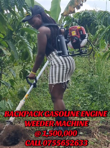 Backpack Gasoline Engine Weeder Machine for Efficient Farming