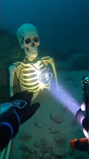Skeleton Found in Shipwreck — Then a Moray Eel Attacked 😳 #underwater #deepsea #scubadiving