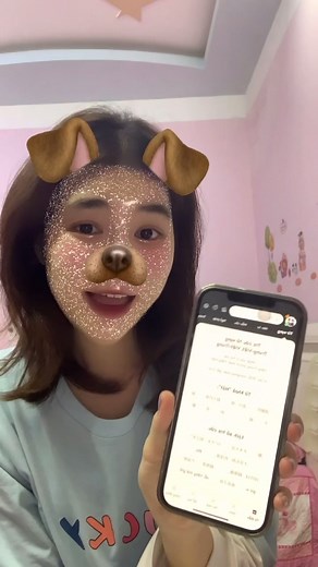 Cách Học Tiếng Trung Hiệu Quả Với Hanzii Dict