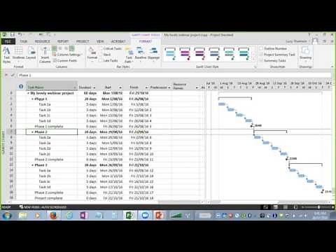 Webinar - MS Project, The Basics and our Top Tips - 26 Jul 2016