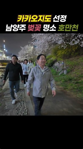 남양주 벚꽃 명소 호만천 | [호만천 라운딩] #주광덕 #남양주시장 #shorts