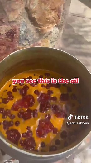 Understanding Palm Oil: Production, Uses, and Benefits
