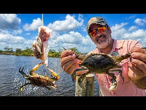 Chicken on a String Caught More Crabs!?