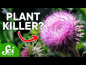 Murderous Plants? Save Your Garden From Sabotage