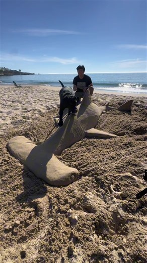 Making a shark out of beach sand #sand#sandcastle#sandsculpture#beach#trending#viral#fyp#discover#explore#tutorial#howto#oddlysatisfying#satisfying#asmr#asmrsounds