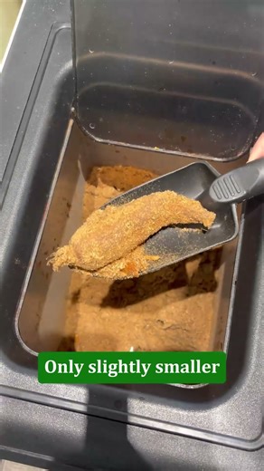 [How-To Hub 2] How to Make Kitchen Compost Work Faster 🥕