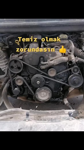 Car Engine Maintenance Tips: Belt and Pulley Inspection