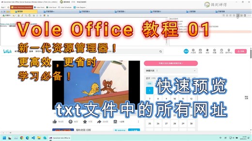 「Vole Office教程」01 快速预览txt文本文件中的所有网页链接