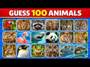 Guess The Animal 🐾 | 100 Questions Challenge | Can You Score 100? #animal #animalquiz #quiz #santa
