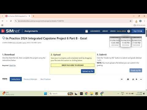 In Practice 2024 Integrated Capstone Project 6 Part B - Excel