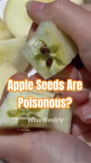 Apple Seeds Are Poisonous? #shorts #viral