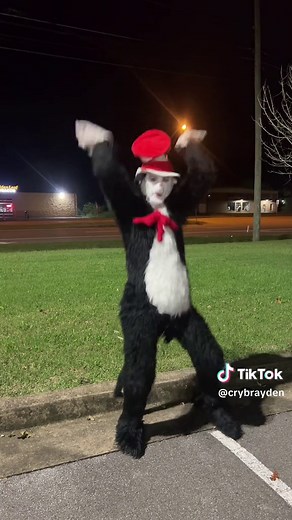 Cat in the Hat Costume Ideas for Kids and Adults