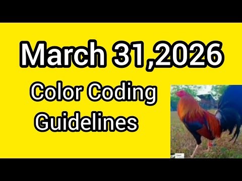 March 31,2026 Color Coding Guidelines