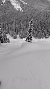 @brockcrouch @stellarheli has been goin off the last few weeks:) So rad to be in this terrain 🙏 #helicopter #powder #pillow | Stellar Heliskiing