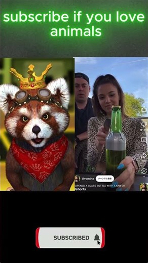 🦡 Meet Funny Badger – Your Favorite Digital Sidekick!