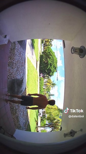 Protecting My Coconuts from Thieves