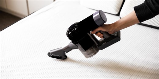 4 DIY pest control mistakes you’re probably making — and how to fix them