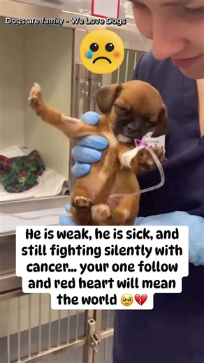 2K views · 188 reactions | He's battling cancer daily. Please leave him a heart and some encouragement so he can overcome it.﫶 | Heartwarming Stories | Facebook