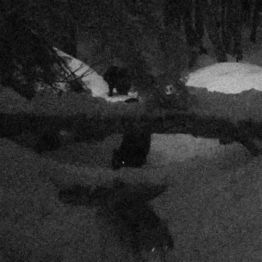 flyleaf - i'm so sick #flyleaf #rock #alternativerock #emomusic #fyp