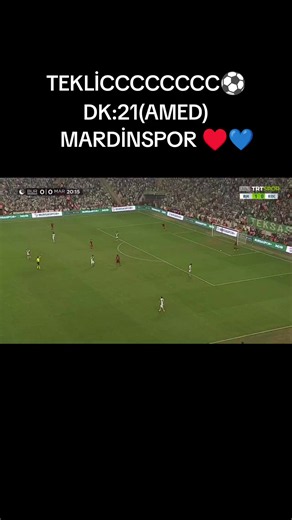 Mardinspor Bursaspor 2-1 — Maç Özeti ve Goller (21. dk Dimitrov)