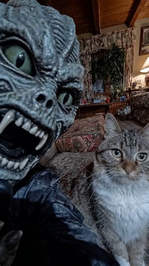 This Cat Embarrassed the Alien in Front of Millions #shorts #alien #cats