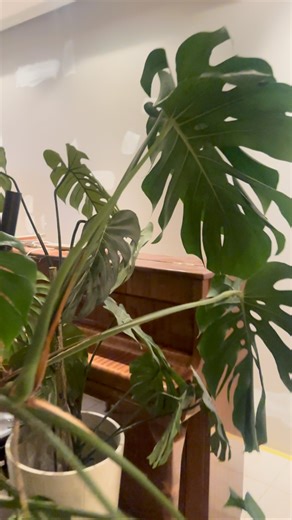 Mariann Gundersen Lelienhof on Instagram: "Ny giv og rett inn i 2026 med et SVÆRT PANG🤣😅⭐️. Nå har jeg blitt så vant med kaos at det føles helt riktig. I dag kom det en av @malermesterdias mest erfarne fagfolk å sparklet stuen min og det føles så bra. Steg for steg så våkner jeg til ny giv i mitt hus, ting og tang kastes, gis bort og arves. Nå kommer fakturaene på løpende bånd men jeg er klar selv om hele nervesystemet rister for jeg har angst for å gi slipp. Men gleden av å ta valg, våge å få