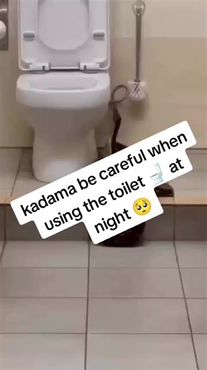 Safety Tips for Using the Toilet at Night