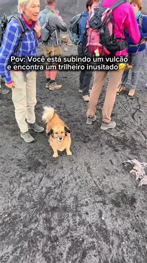 Você está subindo um vulcão e encontra um trilheiro inusitado🤣🤣🐕 Essa trilha foi para subir o vulcão mais alto da Ilha do Fogo em Cabo Verde. Acordei cinco horas da manhã e quando estava no meio da trilha vi um grupo de outros trilheiros e um cachorro. Este parecia bem determinado a também subir até o topo🤣 Esse vulcão possui 2829 metros de altura e está localizado em uma ilha que é super famosa pela produção de vinhos e de café de altíssima qualidade. Estamos montando um roteiro da minha úl