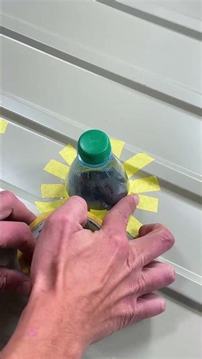 Creative DIY Bottle Light Hack