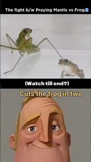 The fight between Mantis vs Frog 🐸 #shorts #ytshorts #nature #facts #viralvideos