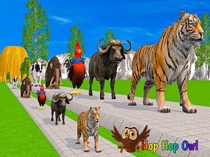 Aprende los colores para niños con animales: gorila, vaca, tigre, león, elefante y oso | Canciones infantiles de Hop Owl🌈🦉 Videos infantiles | Dibujos animados infantiles | Educación para niños . . . . . canciones infantiles dibujos animados para niños aprender colores #kids #leararncolors #song #highlights #foryou | Hop Hop the Owl - Learn Colors - Nursery Rhymes